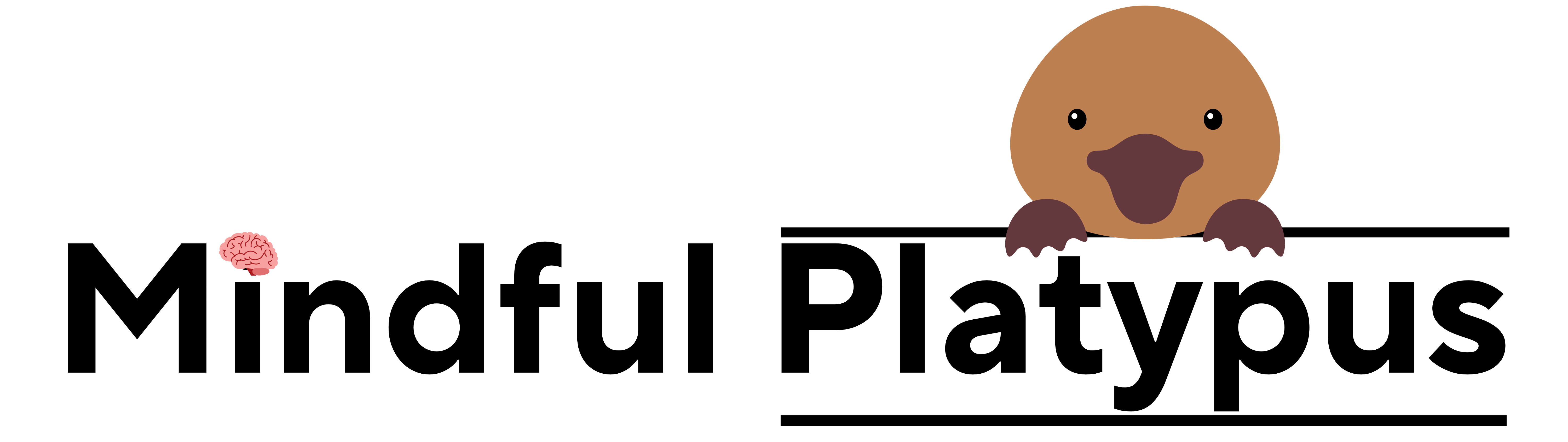 Your Potato Computer Can't load a png.